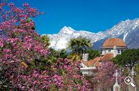 Kurhaus in Meran 